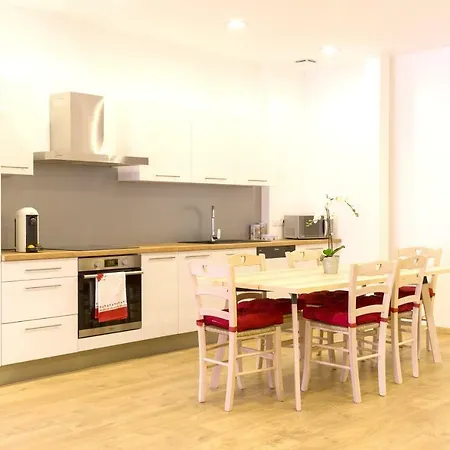 Apartman Grand Standing Vauban 10 Personnes Centre Historique De Colmar