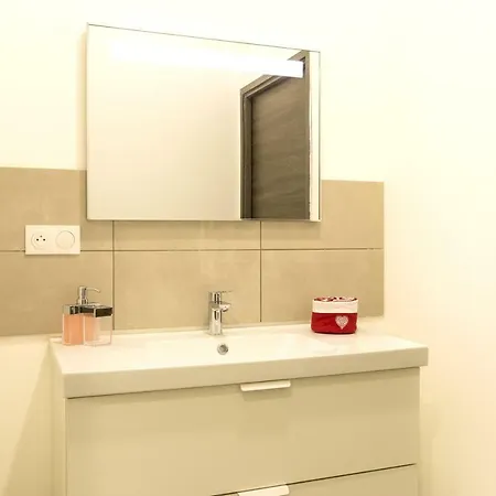 Grand Standing Vauban 10 Personnes Centre Historique De Colmar