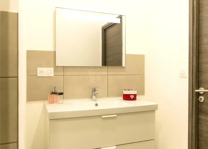 Grand Standing Vauban 10 Personnes Centre Historique De Colmar